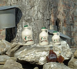 Vermont Maple Syrup